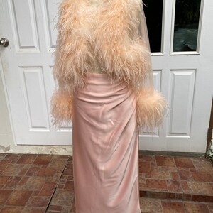 May include: A pink satin skirt with a long, flowing silhouette. The skirt is paired with a sheer, peach-colored feather boa.
