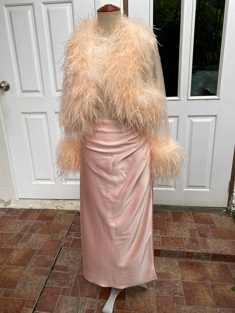 May include: A pink satin skirt with a long, flowing silhouette. The skirt is paired with a sheer, peach-colored feather boa.