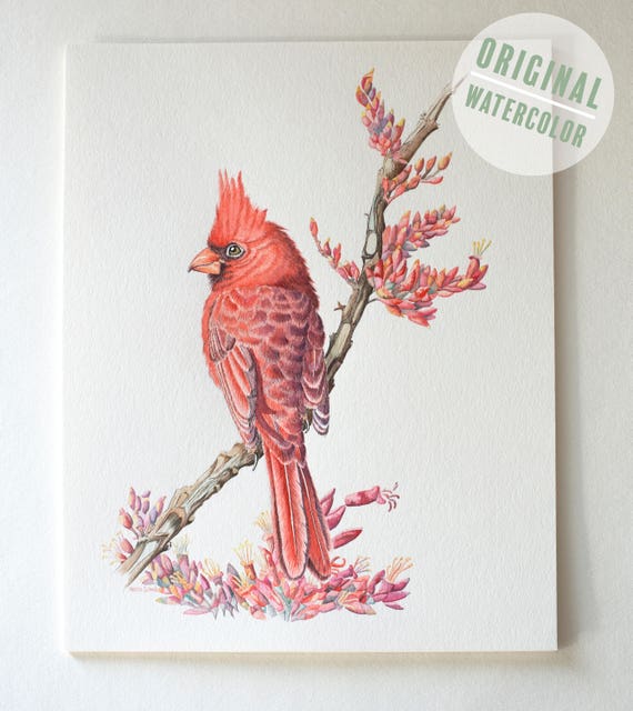 Cardinal Watercolor Original Watercolor Home Decor Bird Etsy