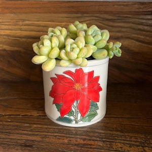 Poinsettia Planter - Small Succulents Indoor Pot - Handmade Fine Art Ceramics Housewarming Gift - Red Floral Hand Painted Pottery