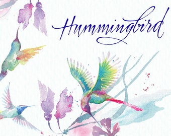 Hummingbirds and tropical flowers watercolor clipart