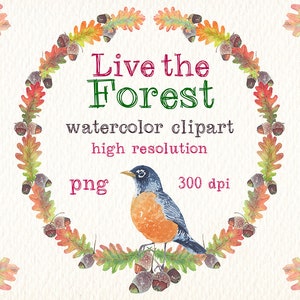 watercolor live the forest png clipart watercolor clip art Ideal printable labels cards posters stickers and more image 2