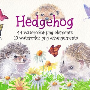 Hedgehog watercolor clipart set. Predesigned images ideal for products such as invitations, posters, albums, greeting cards scrapbooking...