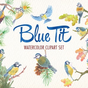 Ensemble d'images clipart aquarelle Mésange bleue Clipart aquarelle Idéal pour les imprimables, les cartes, les affiches, les autocollants et bien plus encore