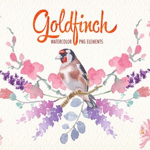 Watercolor Goldfinch Bird PNG Clipart Watercolor Clip Art Ideal Printable Poster Cards Stickers Greetings and More image 4