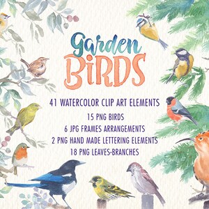 Garden birds watercolor clipart set