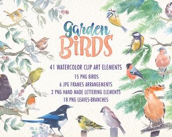 Garden birds watercolor clipart set