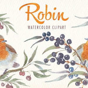 watercolor robin bird png clipart imágenes prediseñadas de acuarela Ideal imprimibles tarjetas carteles pegatinas felicitaciones y más