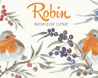watercolor robin bird png clipart watercolor clipart Ideal printable cards posters stickers congratulations and more