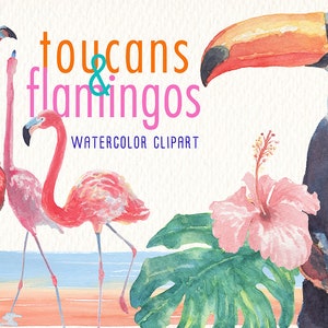 watercolor toucan & flamingos clipart set Ideal para productos imprimibles decoración tarjetas carteles pegatinas camisetas web scrapbooking