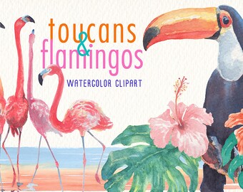 watercolor toucan & flamingos clipart set Ideal for printable products decoration cards posters stickers t-shirts web scrapbooking