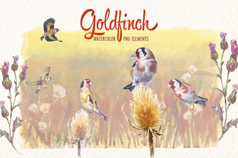 Watercolor Goldfinch Bird PNG Clipart Watercolor Clip Art Ideal Printable Poster Cards Stickers Greetings and More image 2