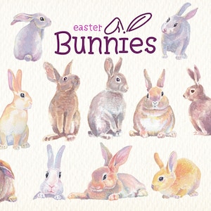 Aquarell Hasen Clipart Predesigned Bilder ideal für Einladungen Poster Aufkleber Dekoration Grußkarten T-Shirts Scrapbooking
