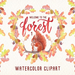 Puede incluir: Clipart de acuarela con una ardilla roja sosteniendo una bellota, rodeada de una corona en forma de corazón de hojas de otoño y bellotas. El texto "Bienvenido al bosque" está escrito en cursiva roja sobre la ardilla.