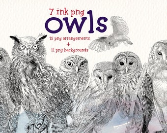 ink owls clipart