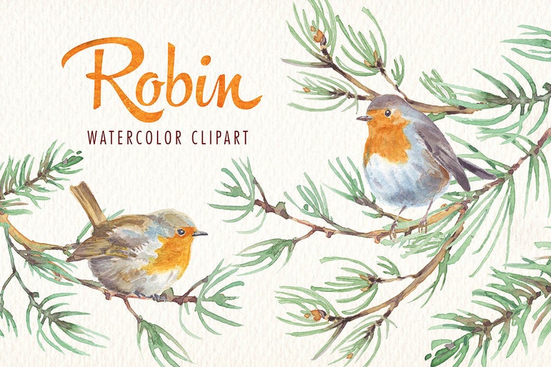 Watercolor robin bird png clipart watercolor clipart Ideal Etsy