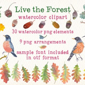 watercolor live the forest png clipart watercolor clip art Ideal printable labels cards posters stickers and more image 6
