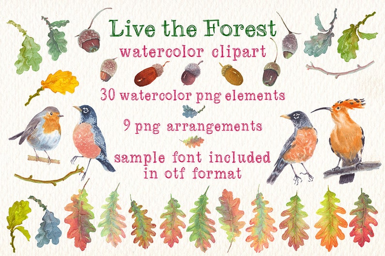 watercolor live the forest png clipart watercolor clip art Ideal printable labels cards posters stickers and more image 6