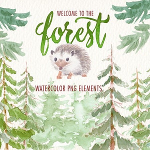 aquarelle dans la forêt png clipart aquarelle clipart images Étiquettes imprimables Autocollants étiquettes idéales et plus