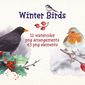 Clipart aquarelle oiseaux d'hiver Images prédéfinies idéales pour des produits tels que des invitations, des affiches, des cartes de vœux, des t-shirts, du scrapbooking...