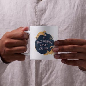 My best friends are all feline cat mug - pet lover, dog lover, cat mom, funny quote coffee mug - 11oz 15oz ceramic coffee cup