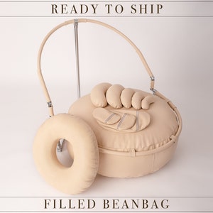 RTS BabyFox Traveling Photographer Posing Gear ( Filled and ready to use travel beanbag - posing pillows - posing ring )