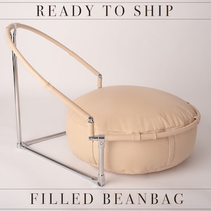 RTS BabyFox Travel Posing System (Beanbag (30 cm height x 80 cm in diameter. (12 inch. x 31,5 inch.)) with built-in foldable backdrop stand.