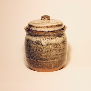 May include: A brown and white ceramic jar with a lid. The jar has a speckled glaze and a slightly rounded shape.