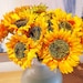 see more listings in the Bouquets, Bunches Stems section