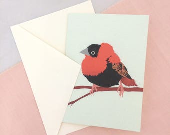 Orange Bishop Card | Bird Card | Bird Greetings Card | Bird Birthday Card | Anniversary Card | Bird Art | Bird Print | Bird Art