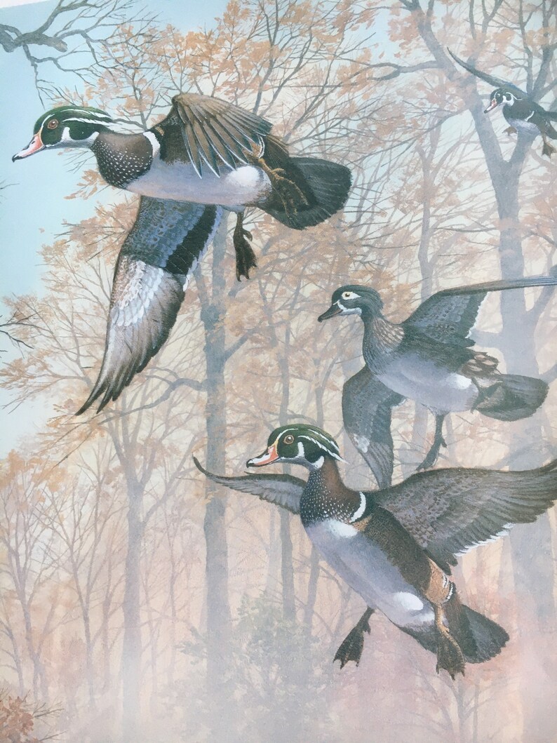 Harold Roe Ducks Unlimited Limited Edition Art Print Signed - Etsy