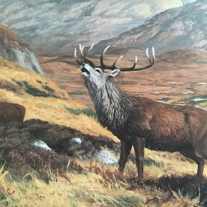 May include: A painting of a red deer with large antlers standing on a grassy hillside, with a smaller deer in the foreground. The deer is looking up and its mouth is open, as if it is calling out. The background is a mountainous landscape with a cloudy sky.