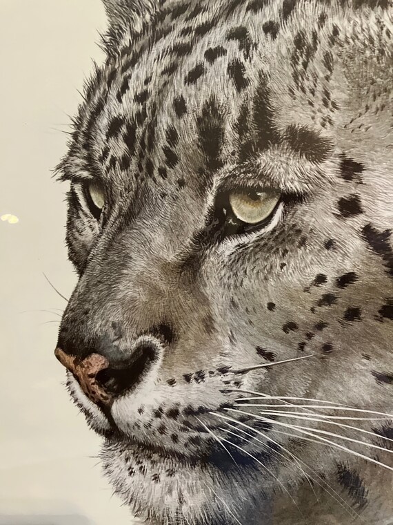 Guy Coheleach 1976 Limited Edition Print Snow Leopard Head Guy Coheleach 1976 Limited Edition Print Snow Leopard Head