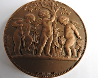 Original French Bronze Medal in Box