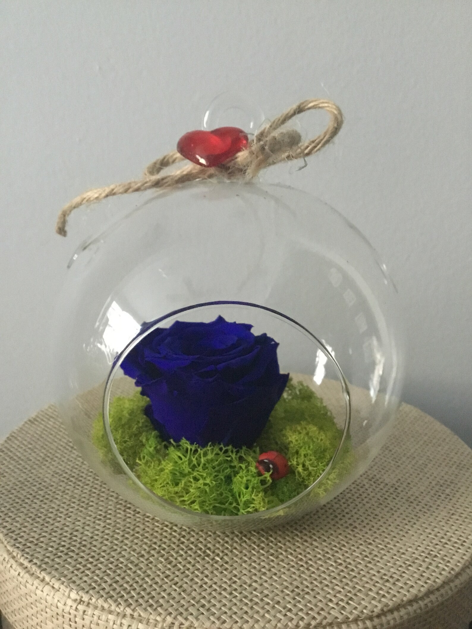 Preserved Rose in Glass Terrarium Globe Hanging Clear Ball Etsy