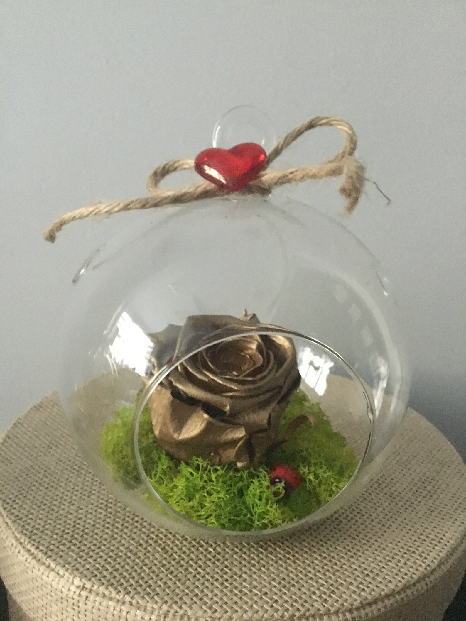 Preserved Rose in Glass Terrarium Globe Hanging Clear Ball Etsy