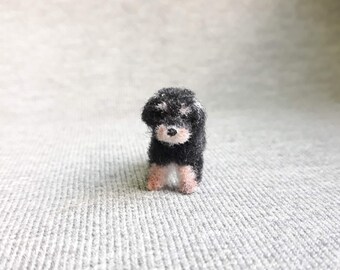dollhouse pet