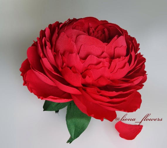 giant paper peony large paper flower giant paper flowers crepe paper peony paper flower backdrop wedding dec paper flower giant