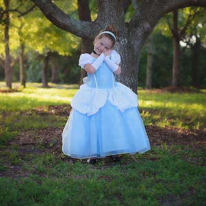 Cinderella Dress / Disney Princess Dress Inspired Costume Ball Gown ...