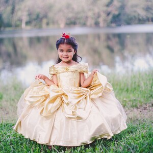 Belle Dress / Belle Costume / Disney Princess Dress Beauty and the Beast Costume / Ball gown style for toddler, child, girl Princess Costume image 1