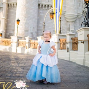 Cinderella Dress / Disney Princess Dress Inspired Costume Ball Gown - Classic - Kids, Girls, Toddler, Child, baby Princess Costume