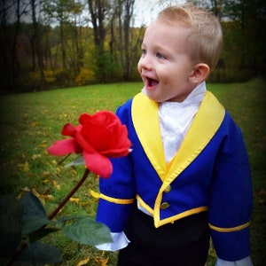 Beast Costume from Disney's Beauty and the Beast / Disney inspired Beast Suit, baby, toddler, child, boy image 2