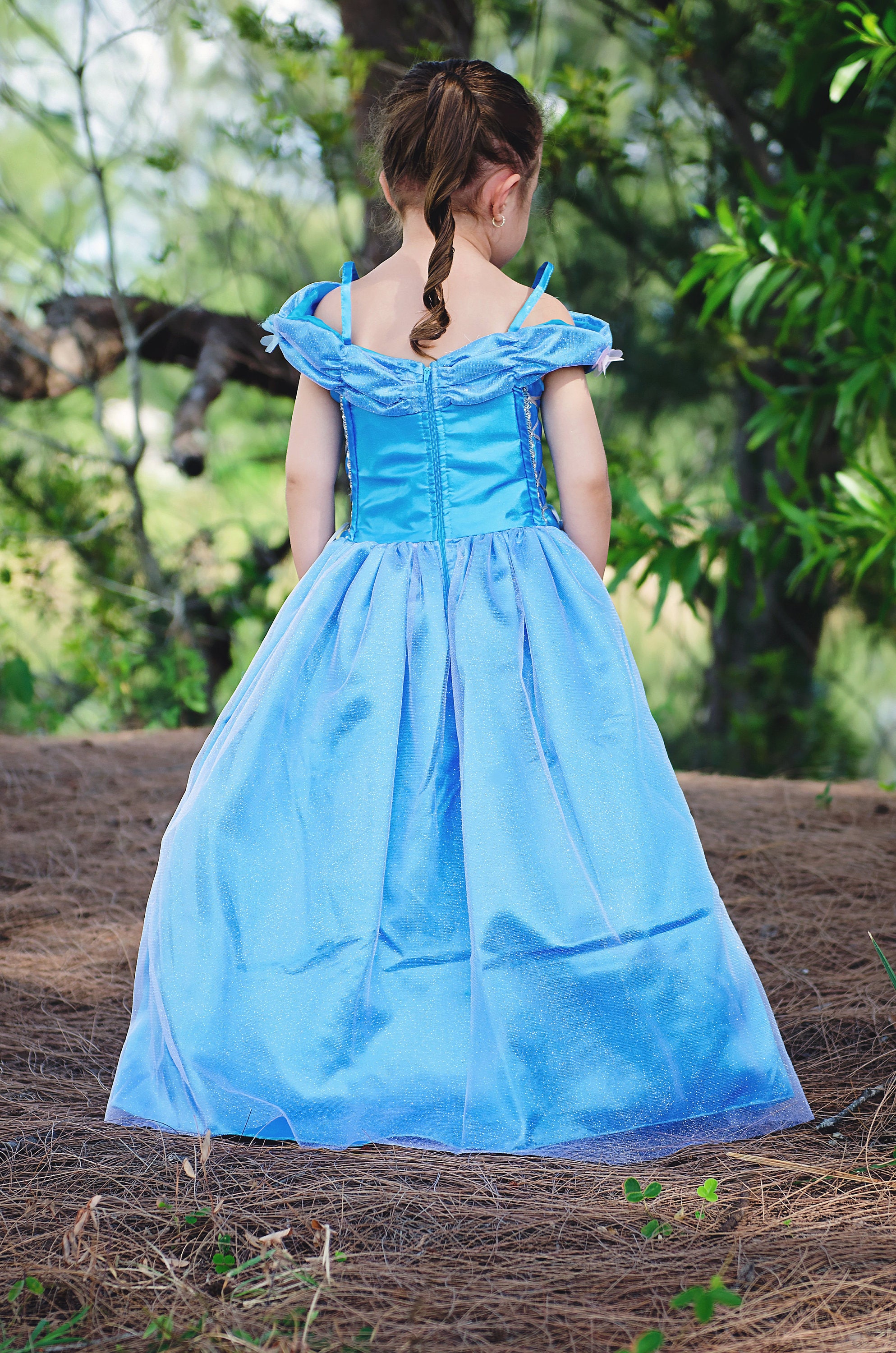 Cinderella Dress Disney Princess Dress Inspired Costume Ball