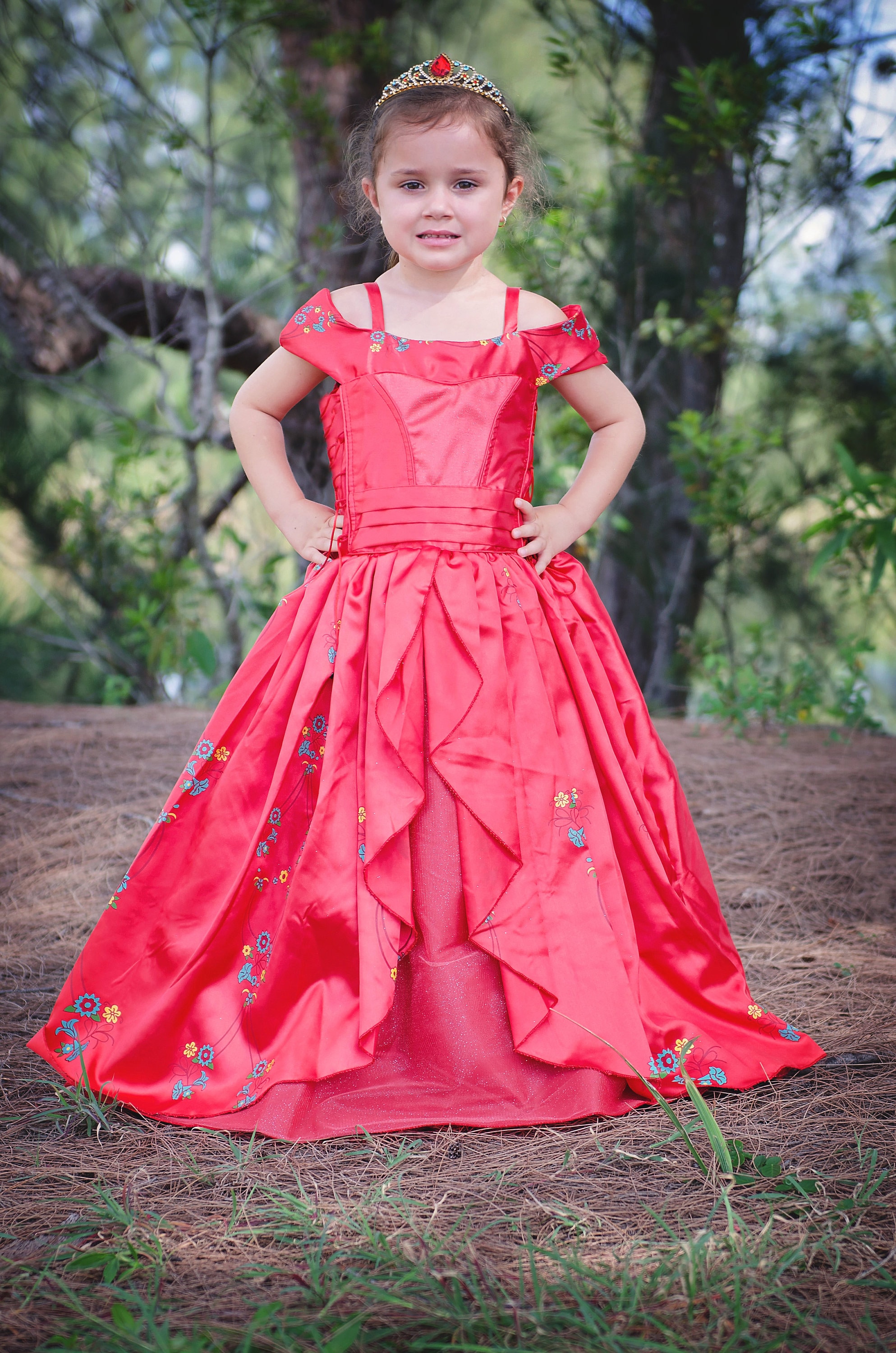 Elena Dress Disney Inspired Princess Elena Of Avalor Inspired Costume ...