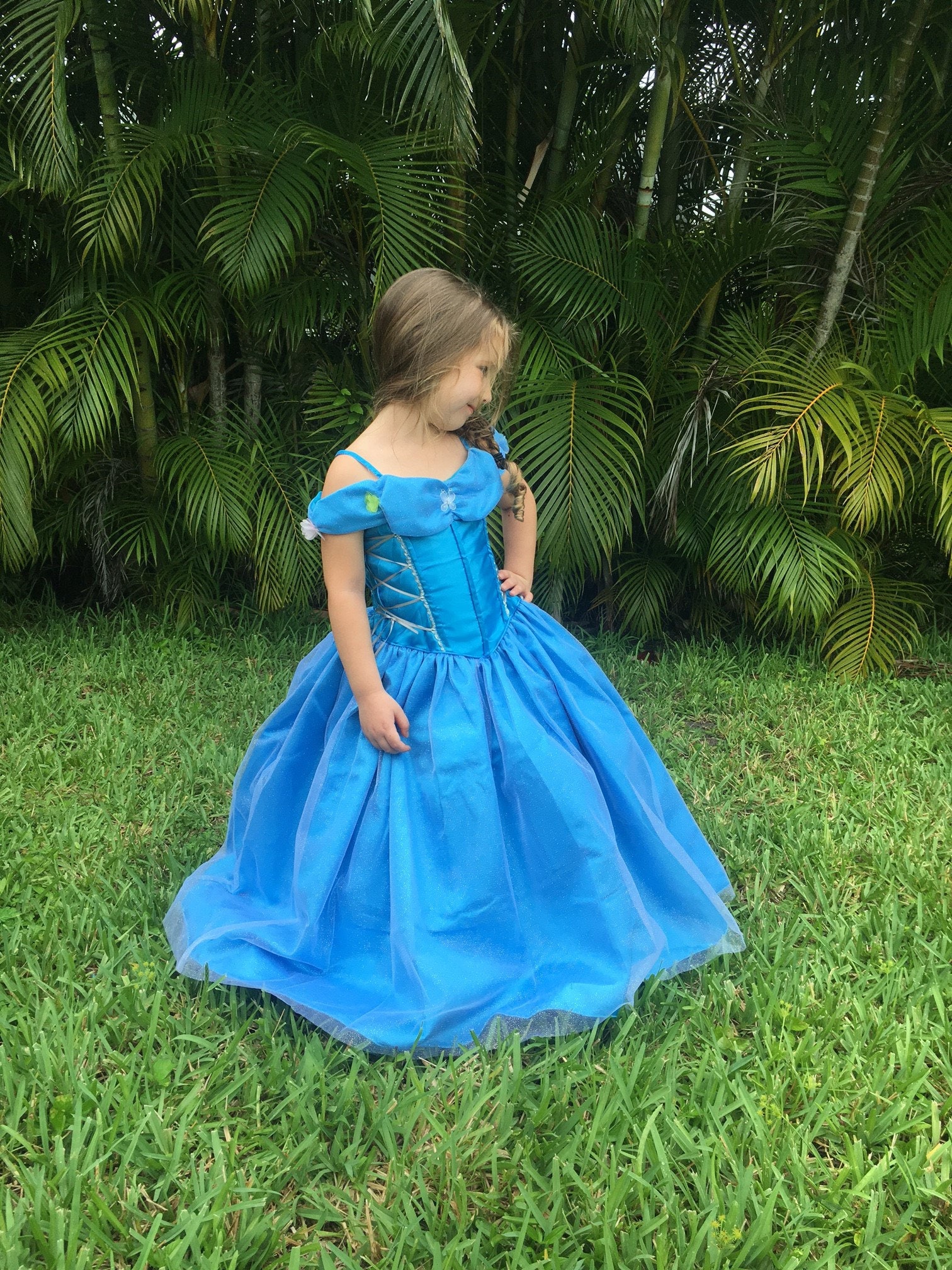 Cinderella Dress / Disney Princess Dress Inspired Costume Ball