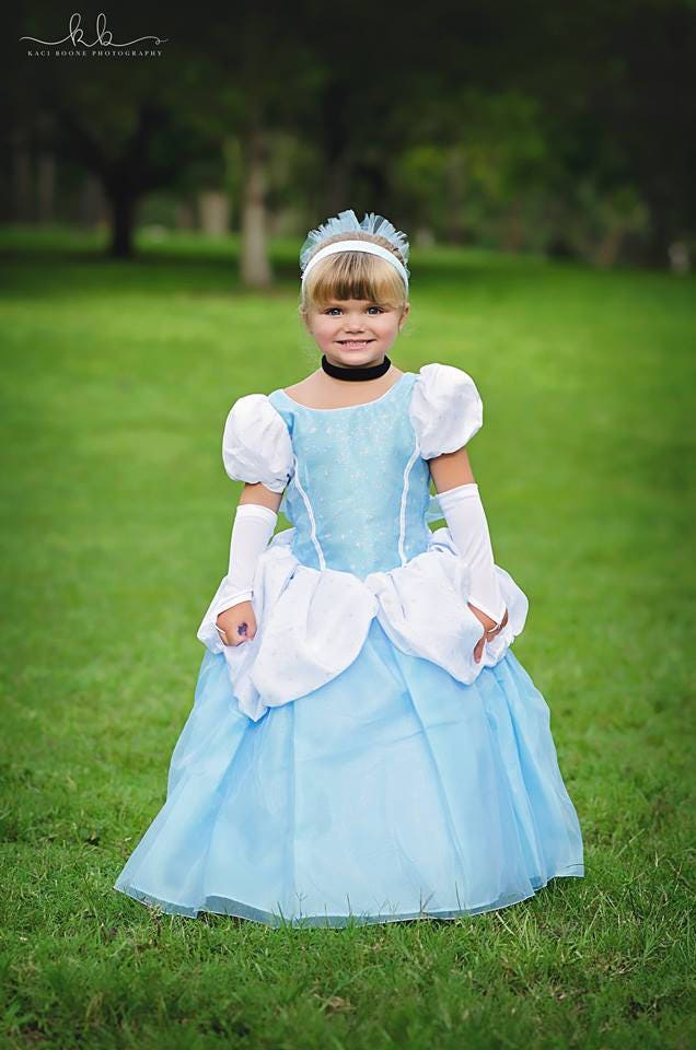 Disney Princess Dress Inspired Costume 