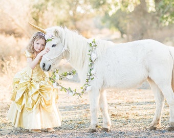 Princess Belle Dress, Gold Ball Gown, Beauty and the Beast Costume