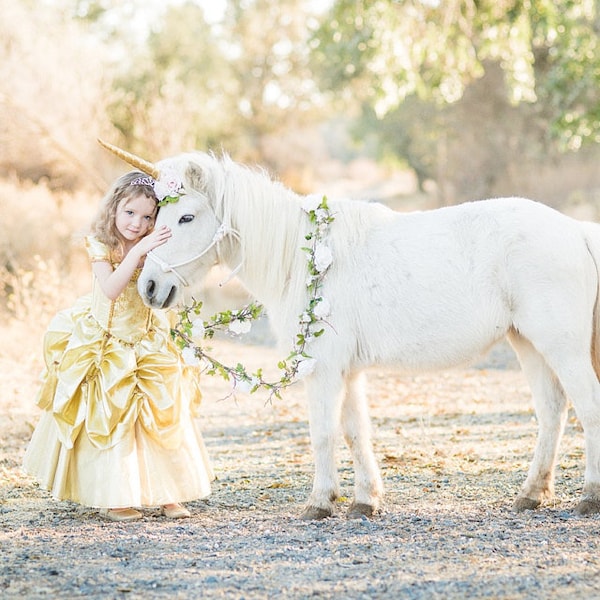 Princess Belle Dress, Gold Ball Gown, Beauty and the Beast Costume