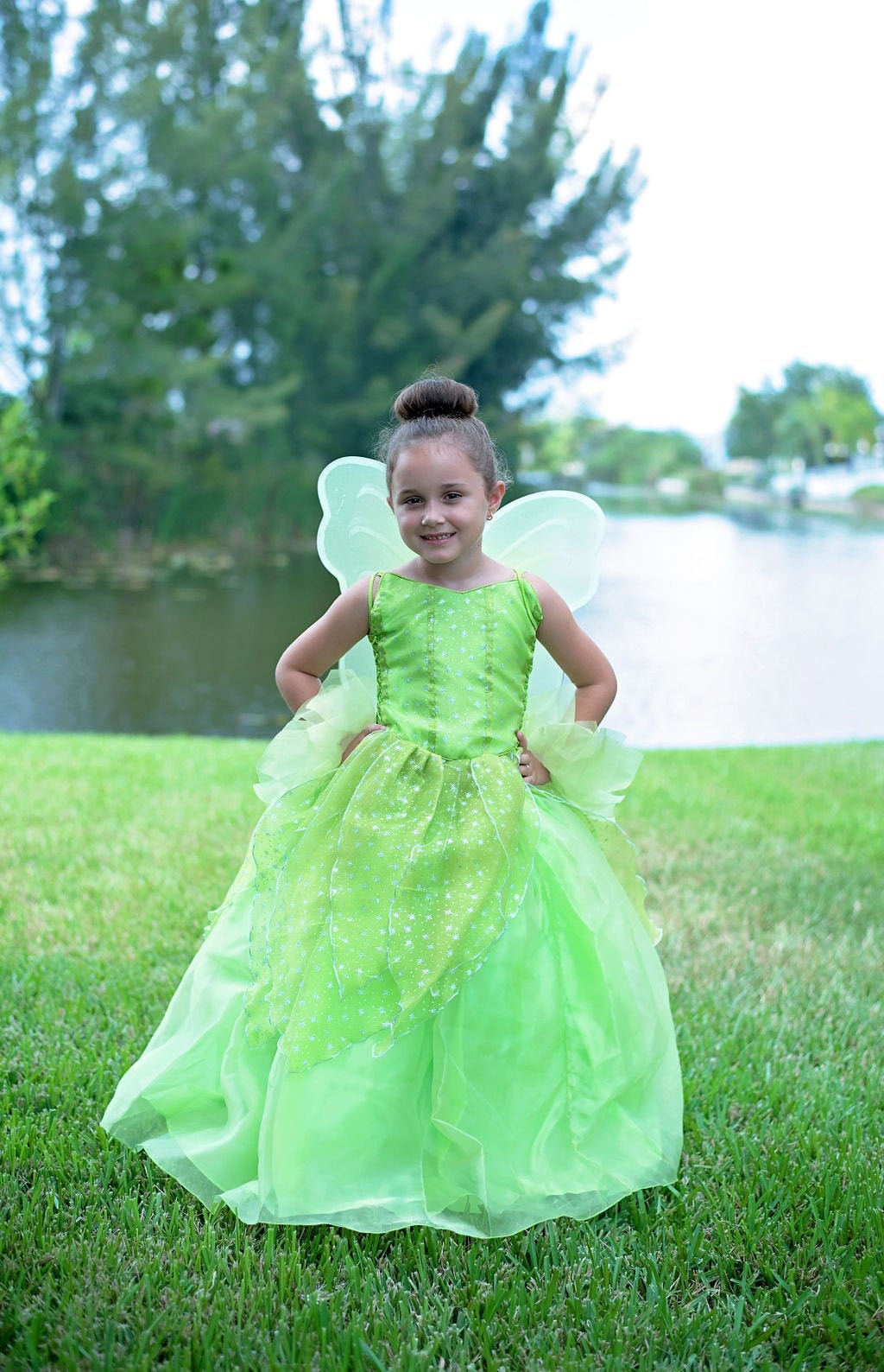 Tinkerbell Dress Disney Princess Dress Tinkerbell Costume