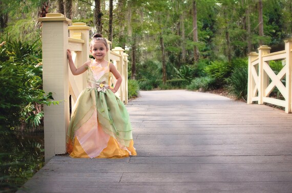 open lace back dress Amazon.com: Disney Princess and the Frog Women's Plus Size Deluxe Tiana  Costume